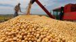 la siembra de soja marco un nuevo record y en una semana se sembraron 1,15 millones de hectareas