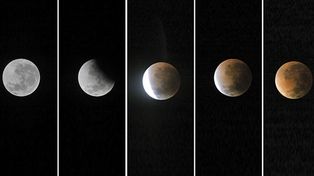 Por el eclipse, mirar la Luna roja fue una fiesta para miles de rosarinos
