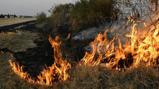 Los incendios en la zona de islas sobre el Paraná sigue causando estragos.