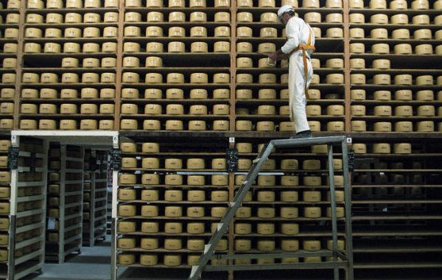 Alimentos. La industria láctea