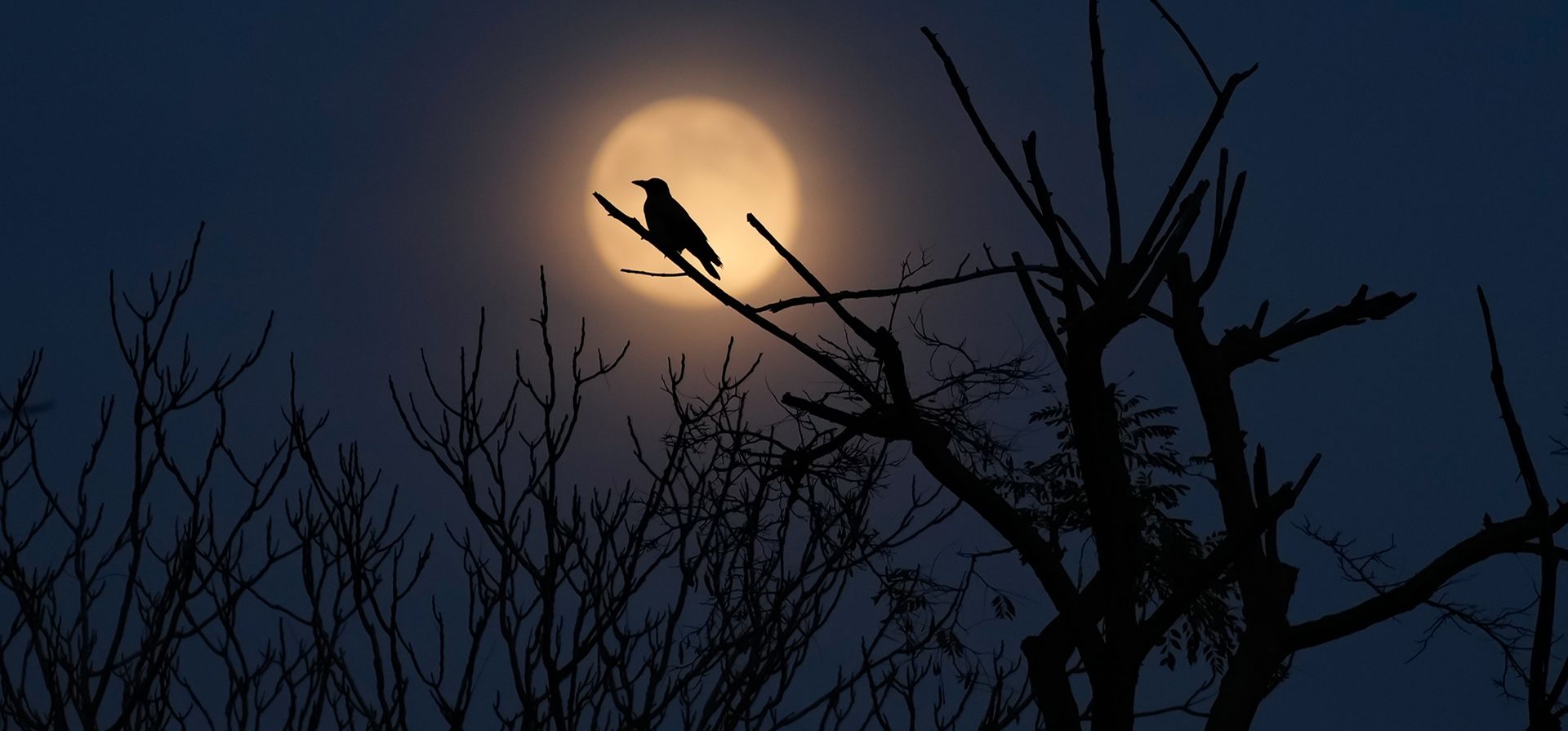 Una superluna, la última luna llena del año, se alza en el cielo de Estambul, Turquía, el jueves 4 de diciembre de 2025. (Foto AP/Emrah Gurel) Una superluna, la última luna llena del año, se alza en el cielo de Estambul, Turquía, el jueves 4 de diciembre de 2025. (Foto AP/Emrah Gurel)