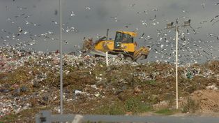 Las ideas de los candidatos a intendente sobre qué hacer con la basura en la ciudad