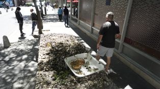 Todo sucio. Una estructura de hierro ubicada en Sarmiento casi Santa Fe, tiene kilos de excrementos de palomas