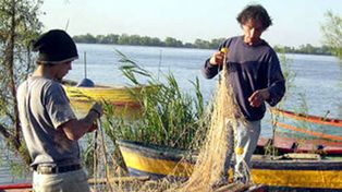 Veda pesquera: unos 2.500 pescadores santafesinos recibirán el subsidio