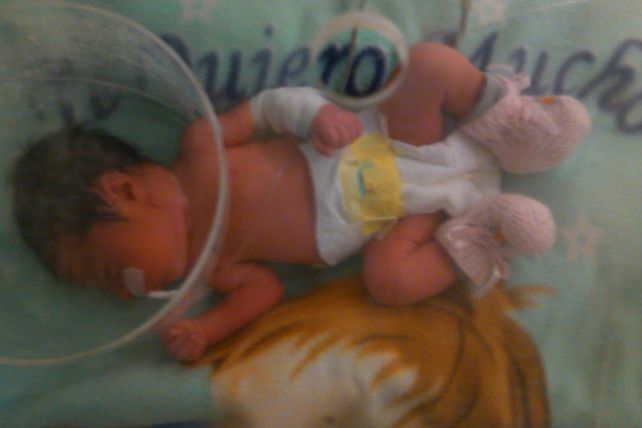 Kiara tiene buen estado de salud, pero permanecerá internada
