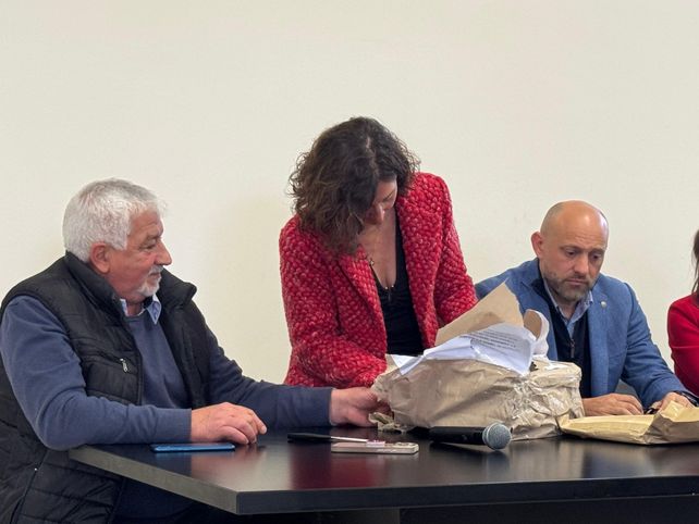 Construirán una nueva estación transformadora de energía que beneficiará a nueve localidades del sur provincial