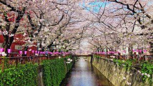 Japón y Corea ofrecen rincones mágicos para que los turistas puedan explorar.