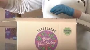 La startup de Florencio Varela produce hamburguesas en base a plantas.