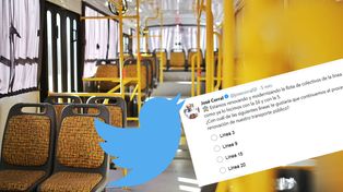 Renovarán una nueva flota de colectivos y proponen que los usuarios elijan cuál