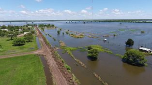 Por las inundaciones en el norte se perdieron más de 7 mil hectáreas de algodón