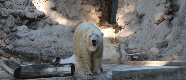 Arturo estaba próximo a cumplir 31 años y falleció en Mendoza.