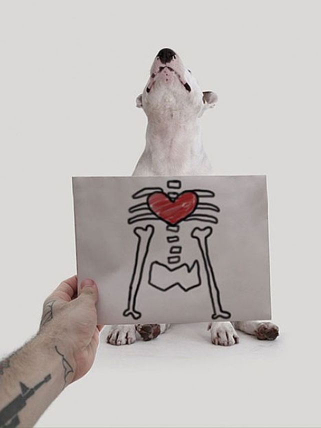 Su esposa lo dejó, pero creó un mundo con su perro