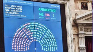 La votación en particular de la Ley Bases, aprobada en general por la Cámara de Diputados, se aprobaron emergencias, facultades delegadas, privatizaciones y reforma laboral y RIGI. Tras la media sanción, el texto se debatirá en el Senado