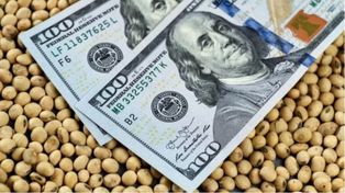Un proyecto legislativo busca redistribuir a las provincias parte de la recaudación por las retenciones a la exportación de soja.