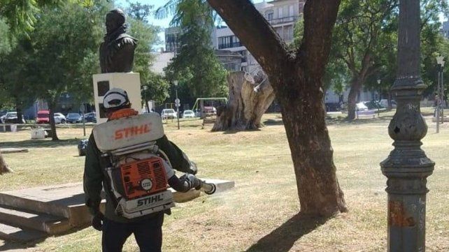 Operativo dengue: cómo es el cronograma de fumigaciones para esta semana