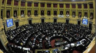 La Cámara de Diputados aprobó la ley de cannabis medicinal