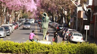 SMN: Temperaturas templadas y tormentas esta semana&nbsp;