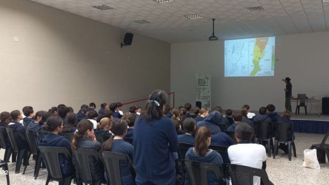 Programa Ecoescuelas: Educación ambiental para construir un futuro sostenible