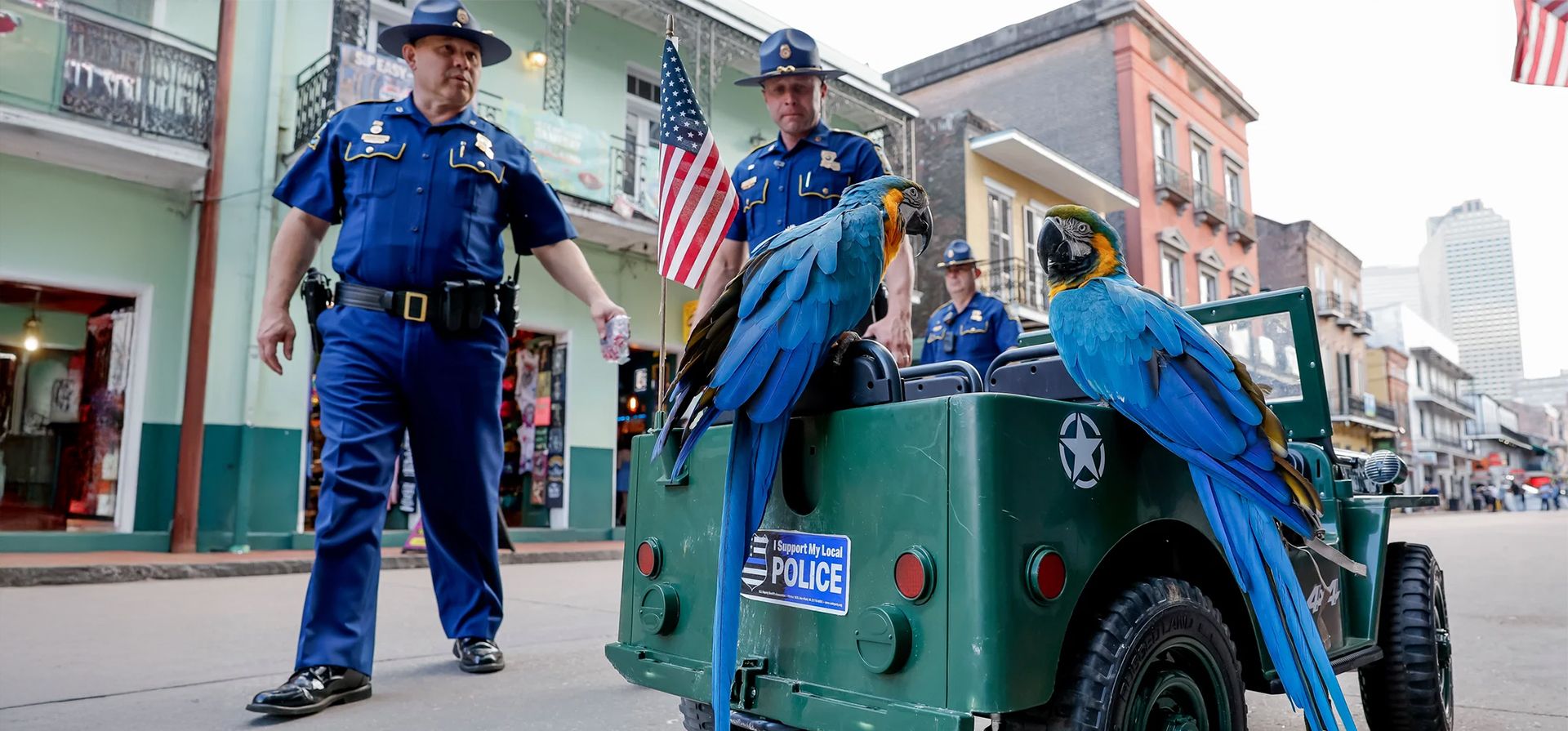 Oficiales de policía de Louisiana caminan junto a guacamayos que viajan en el jeep a control remoto de un artista callejero. Se ha reforzado la seguridad en Bourbon Street en el Barrio Francés para el Super Bowl LIX de la Liga Nacional de Fútbol Americano, Nueva Orleans, Estados Unidos. Fotografía: Erik S Lesser/EPA Oficiales de policía de Louisiana caminan junto a guacamayos que viajan en el jeep a control remoto de un artista callejero. Se ha reforzado la seguridad en Bourbon Street en el Barrio Francés para el Super Bowl LIX de la Liga Nacional de Fútbol Americano, Nueva Orleans, Estados Unidos. Fotografía: Erik S Lesser/EPA