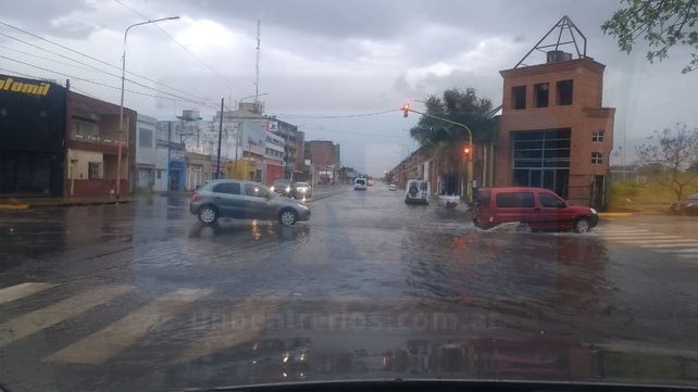Paraná: árboles caídos y viviendas anegadas por el temporal