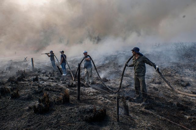Los brigadistas trabajando en una zona del norte correntinos donde el fuego amenaza traspasarse a Misiones.