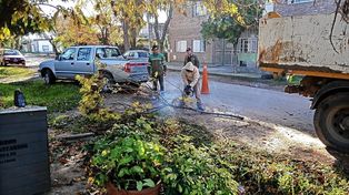 Trabajos de poda en la ciudad de Santa Fe