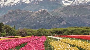 El premio reconoce a aquellas localidades que son un ejemplo de destinos de turismo rural con bienes culturales y naturales reconocidos.