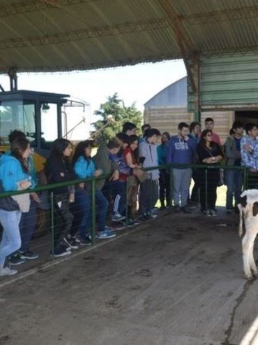 Aprender a producir de manera sustentable, desde la escuela