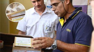 El primer envío de abejas se concretó con éxito y fue realizado por la cabaña Apícola Reinas del Litoral de Entre Ríos.