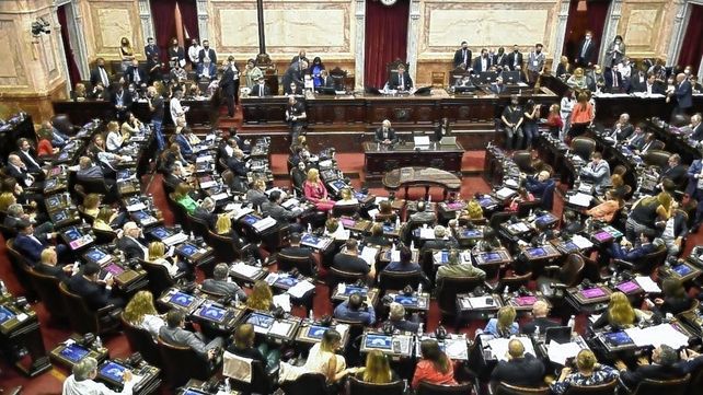 Renta inesperada: el oficialismo en Diputados quiere votar el proyecto en agosto