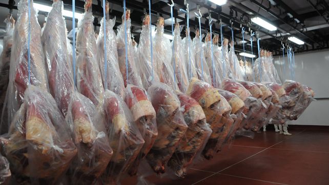Mercados. La demanda de exportación crece. China se lleva el grueso de la oferta argentina