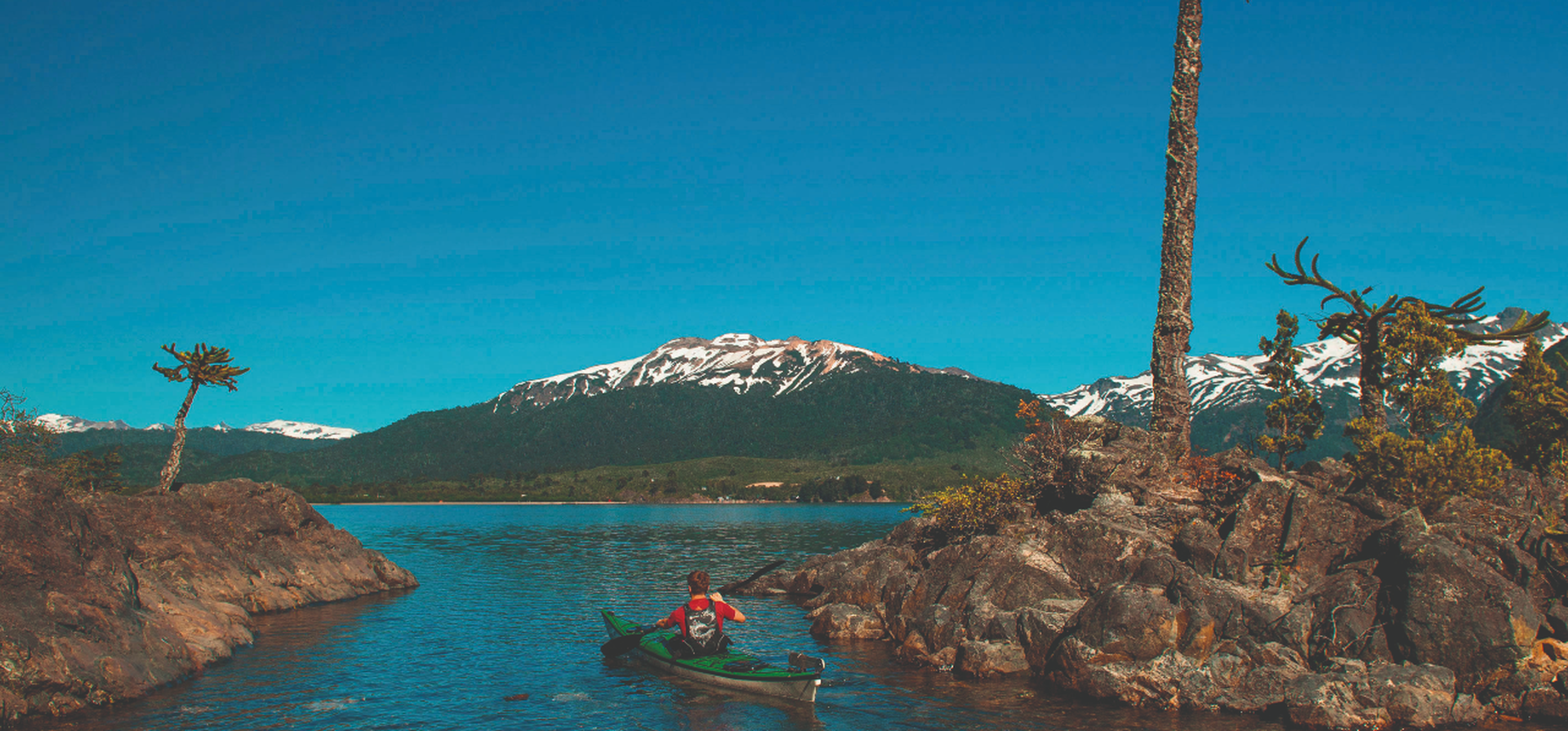 Neuquén, las rutas del Pehuén