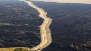 M&aacute;s de 165 mil personas trabajan para combatir los incendios forestales en Rusia