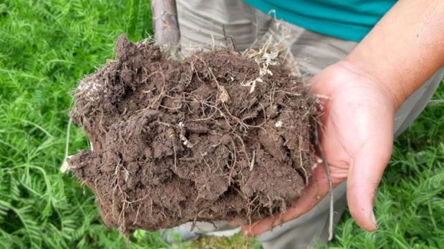 Los suelos cobraron gran relevancia por su capacidad para disminuir el calentamiento global.