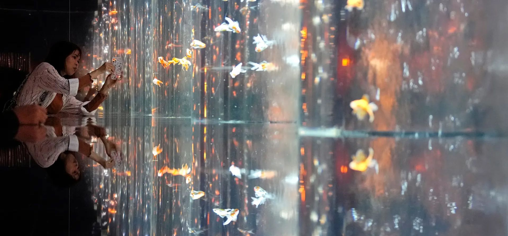 Tokio, Japón. Un visitante toma fotografías de peces de colores nadando en tanques reflejados en el Museo del Acuario de Arte de Ginza. Fotografía: Franck Robichon/EPA