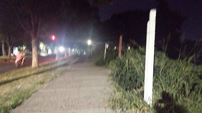 Calle Maciá. Los yuyales del predio invaden la vereda