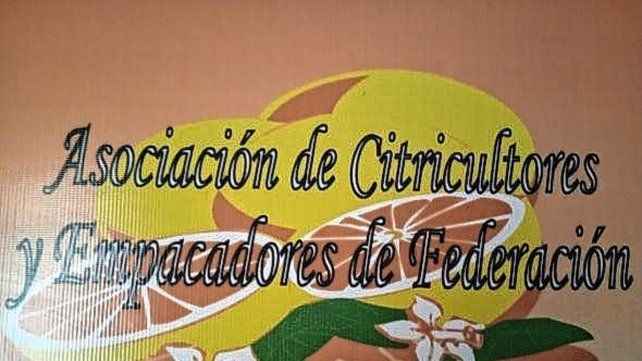 Renovación de autoridades en la Asociación de Citricultores y Empacadores de Federación.