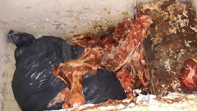 Cayeron violentos cuatreros que robaban ganado en Entre Ríos, Buenos Aires y Santa Fe