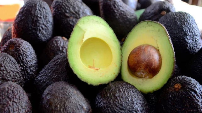 Guardar correctamente la palta es esencial para que se mantenga fresca