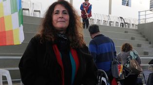 Carina Kaplan: “El alumno ideal nunca existió”