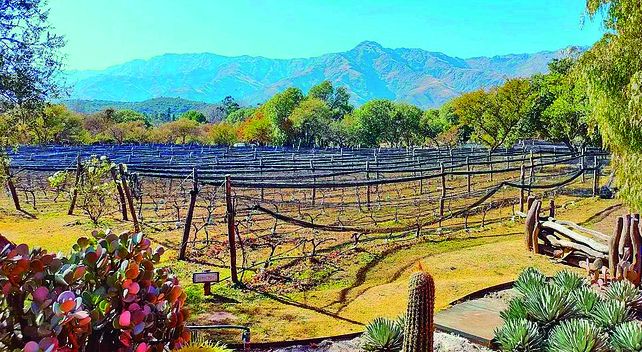 Se trata de una zona donde hay radicadas bodegas y que tiene al vino como uno de sus principales atractivos.&nbsp;
