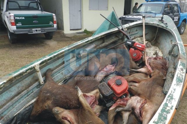 Detenidos y secuestro de especies silvestres faenadas en San Javier