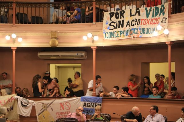 VIDEO Damián Verzeñassi: Si tiene veneno no es alimento