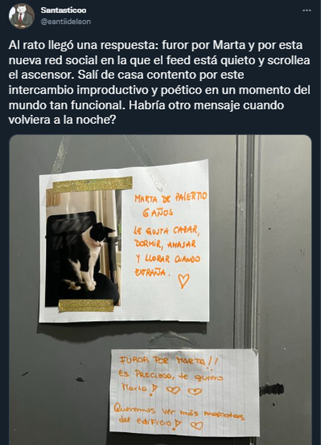 La saga de Marta, la historia que se hizo viral sobre los gatos de un edificio de Palermo