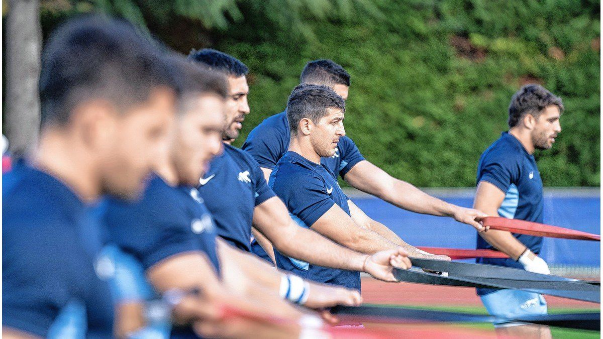 Michael Cheika Confirmó El Equipo Titular De Los Pumas 8674