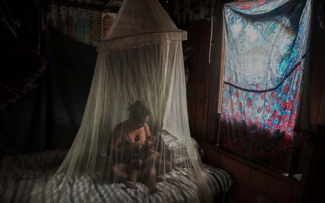 Las mejores fotos del 2020 de la agencia periodística AFP