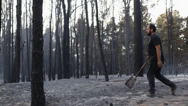 Aseguran que está controlado el voraz incendio en los bosques de Valeria del Mar
