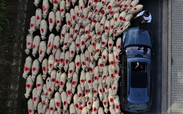 Drone Photo Awards 2021, impactantes imágenes desde las alturas
