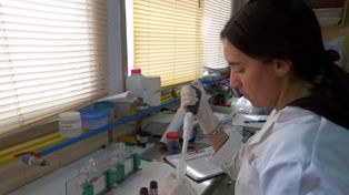 Ensayos. El aceite de cannabis puede ser útil como estrategia terapéutica, analizaron las bioquímicas.