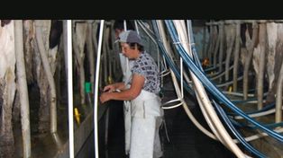 Las industrias santafesinas se recuperan en el mercado interno